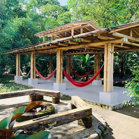 La Casa De Cecilia Mindoホステル エクステリア 写真